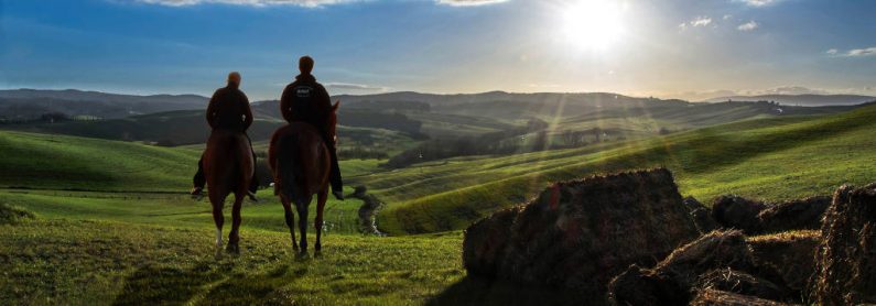 A cavallo per le terre di Siena